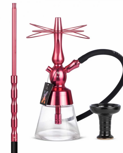 Chicha Molotov X + Tsar